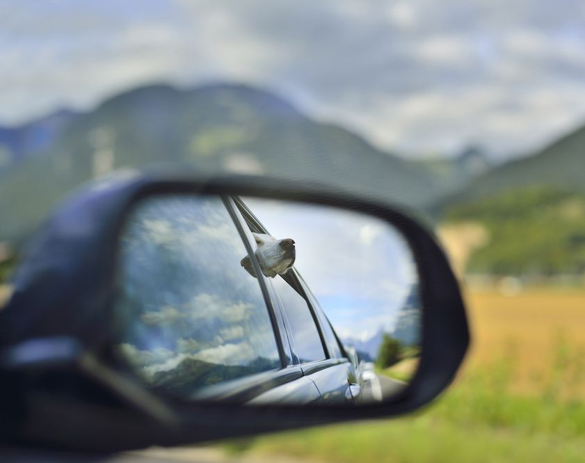 Taking a Look in the Rear-View Mirror